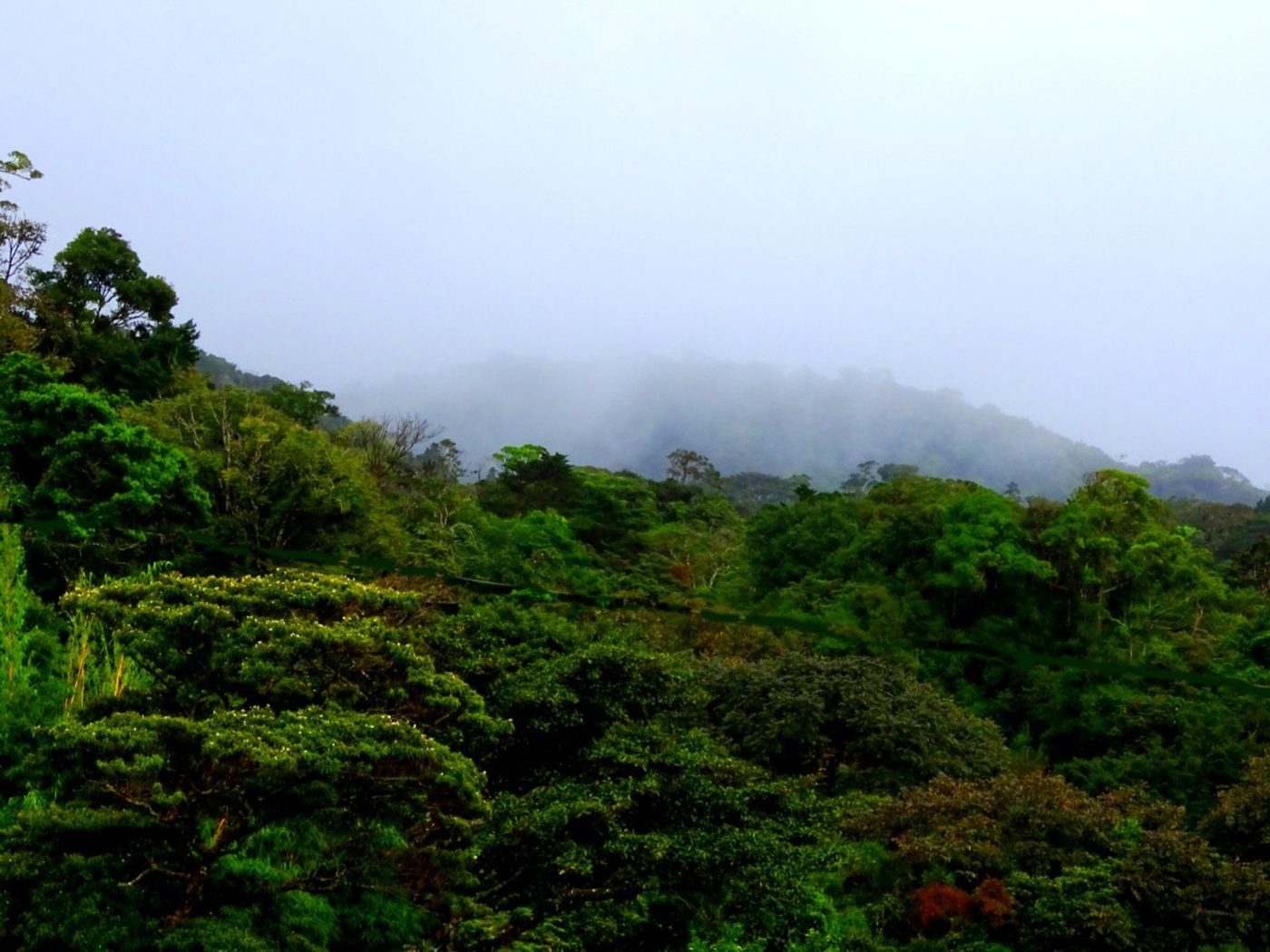 Vista Monteverde